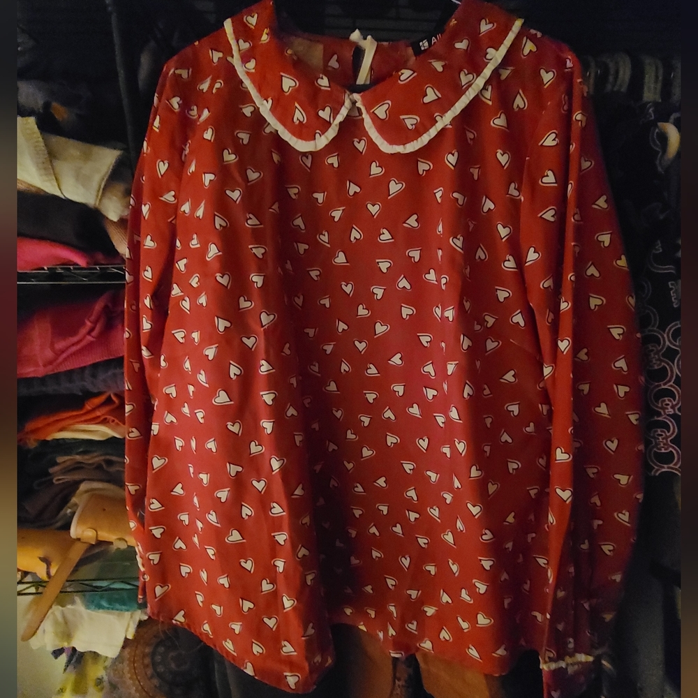 Adorable Allegra K blouse large